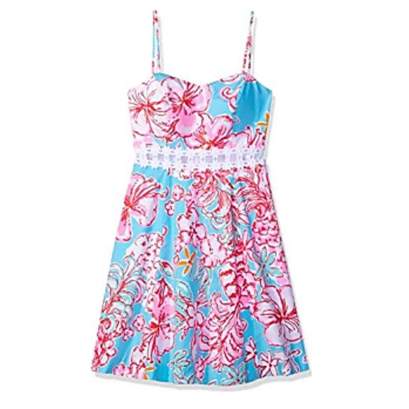 Lilly Pulitzer Lenore Dress! - Picture 4 of 5
